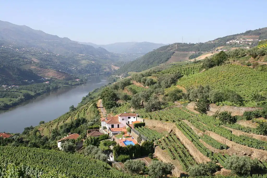 Image for Explore the Douro Valley: Best Travel Tips & Wine Tour Guide