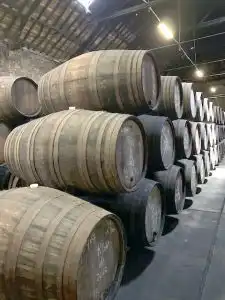 Rows of large oak wine barrels stacked in a traditional cellar warehouse